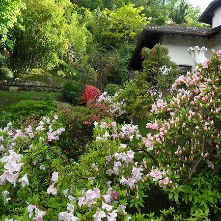 La Camana